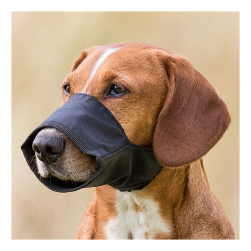 Trixie KAGANIEC nylonowy dla Psa S-M 15-36cm