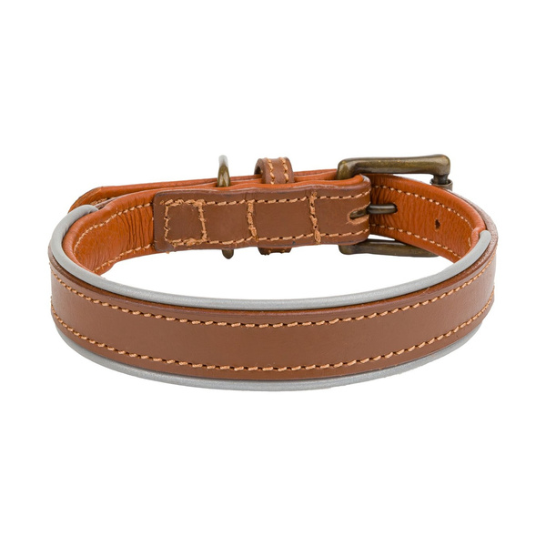 Barry King Obroża skórzana, S: 33-40 cm/20 mm, ciemny beż