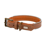 Barry King Obroża skórzana, S: 33-40 cm/20 mm, ciemny beż