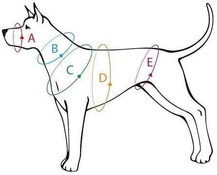 amiplay KAGANIEC Muzzles M dla Psa Cocker Spaniel Czarny