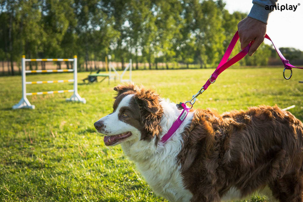 amiplay Obroża SAMBA regulowana S 20-35x1,5cm Różowy