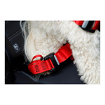 ZOLUX Szelki dla psa TRAVEL SAFE S czerwone