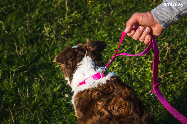 amiplay Obroża SAMBA regulowana S 20-35x1,5cm Różowy