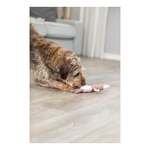 Trixie Królik, zabawka, dla psa, materiał/plusz, 24 cm