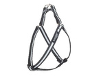 amiplay SZELKI regulowane Shine Odblaskowe XL 50-95/2,5cm Czarny