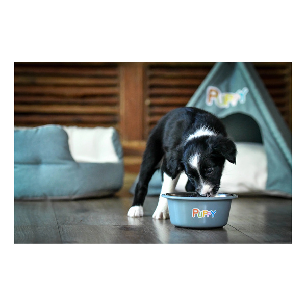 Zolux Miska antypoślizgowa dla psa PUPPY 16,5 cm 850 ml kol.niebieski