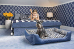 amiplay Legowisko Sofa dla Psa ZipClean 4in1 Kent XL Biały