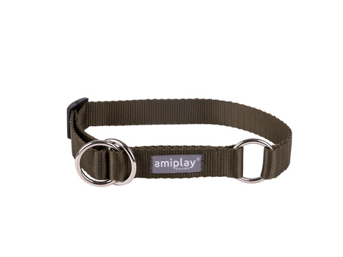 amiplay Obroża półzaciskowa Popular M 25-40x2cm