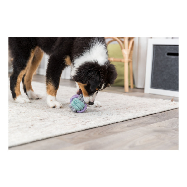 Trixie zabawka PIŁKA ze Sznurka dla Psa 9cm