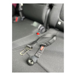 ZOLUX Adapter do szelek dla psa CLIP and GO XS/S