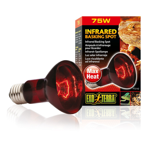 Eao Terra Żarówka Infrared Basking Spot R20/75W