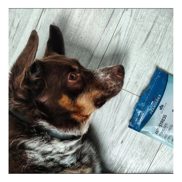 FRANCODEX Przysmak dla psa antystresowy, z kurczakiem, wyciąg z melisy 75 g