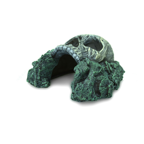 Terra Natura Dekoracja terrarystyczna kryjówka z czaszką 16cm