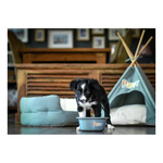 Zolux Miska antypoślizgowa dla psa PUPPY 16,5 cm 850 ml kol.niebieski