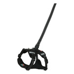 ZOLUX Zestaw szelki + smycz dla psa CLIP and GO XS czarny