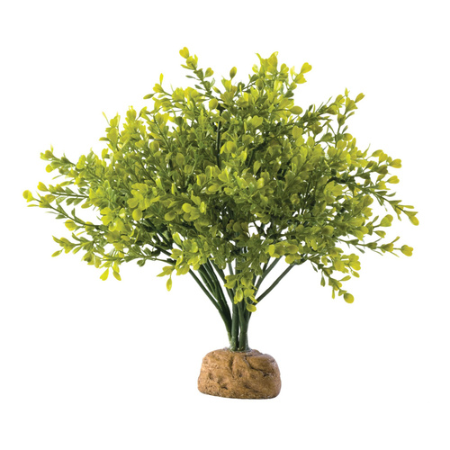 Eao Terra Roślina sztuczna - Boxwood Bush