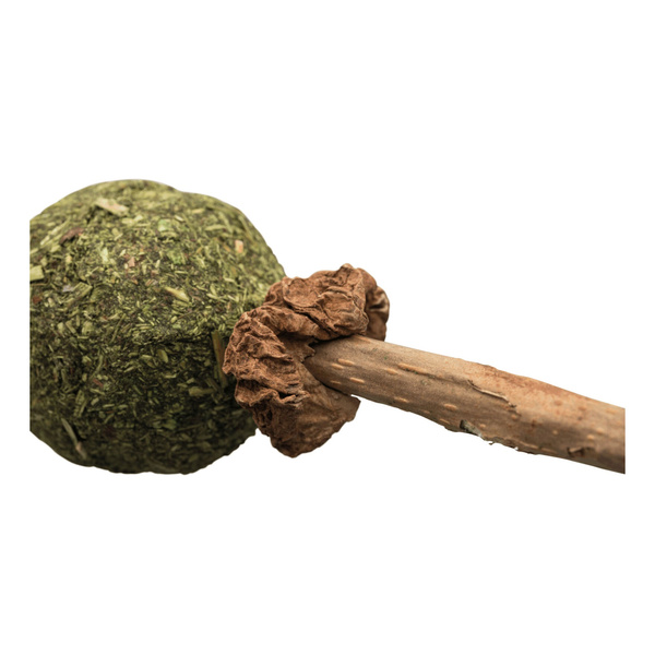 Trixie Zabawka Matatabi Lolly, 11cm