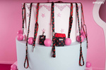 amiplay Smycz BeHappy dla Psa M 150cm Cherry