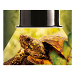 Eao Terra Reflektor aluminiowy Reptile Dome do 75W S 16 x 215 x 155 cm