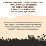 Karma sucha dla psa PUPIL Premium Gluten Free M&L bogata w gęś z ryżem i aronią 12 kg