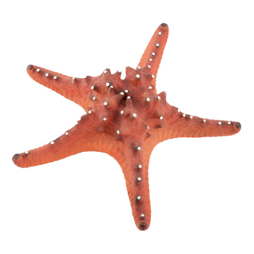 Aqua Natura Dekoracja akwarystyczna rozgwiazda czerwona duża 22cm