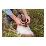 Trixie Kaganiec Muzzle Flex silikonowy L-XL czarny