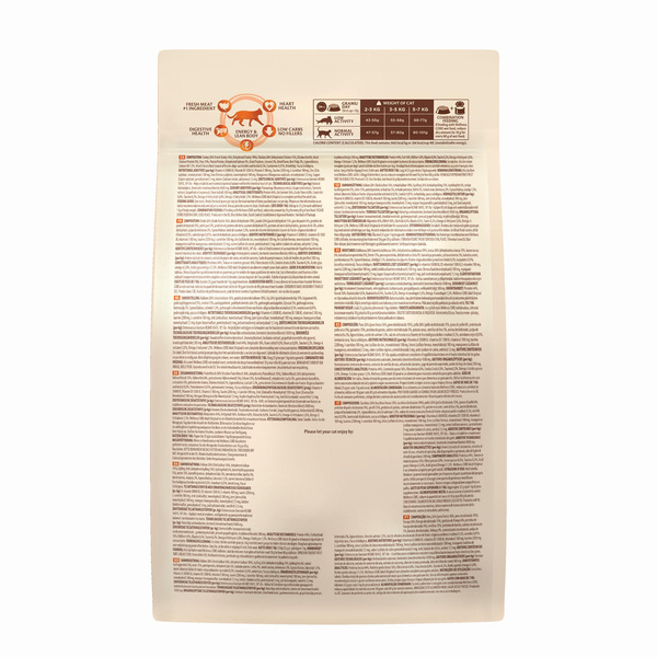Wellness Core Original karma sucha dla kotów dorosłych indyk i kurczak 300g