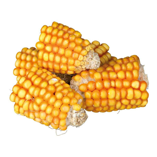 Trixie Kolby kukurydzy przysmak dla gryzoni 300g