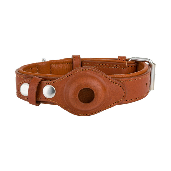 Barry King Obroża skórzana, S: 33-44 cm/30 mm, brązowy, z miejscem na lokalizator