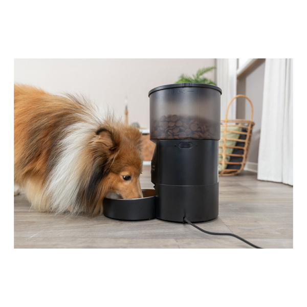 Trixie Karmidło automatyczne TX-C Smart, czarne, 3.0l, 3 l/18 × 31 × 18 cm, z kamerą