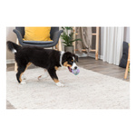 Trixie zabawka PIŁKA ze Sznurka dla Psa 9cm