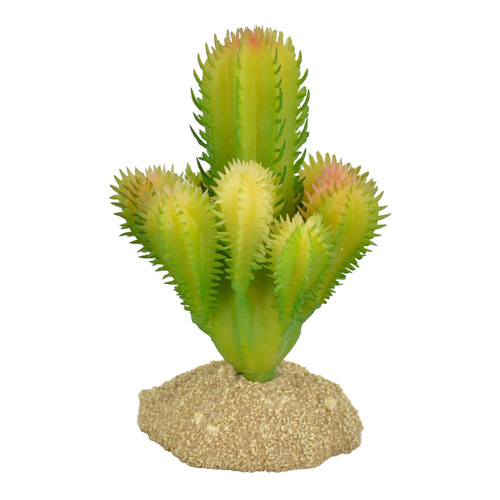 Terra Natura Dekoracja terrarystyczna kaktus na podstawce 7cm