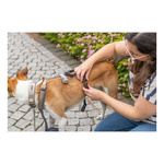 Trixie Adapter antyucieczkowy do szelek, dla psa, czarny, L-XL: 59-92 cm/25 mm
