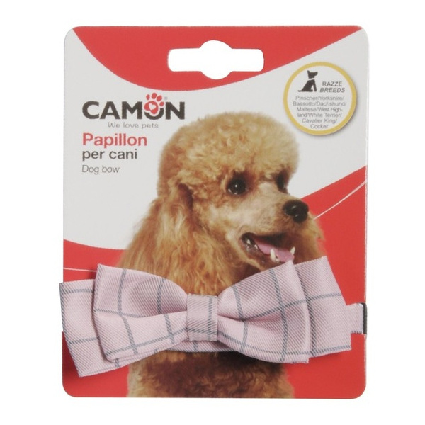 CAMON MUCHA DLA PSA W KRATKĘ