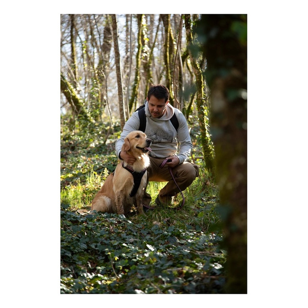 ZOLUX Szelki dla psa BIVOUAK XS niebieskie