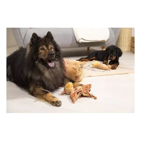 Zolux Zabawka pluszowa dla psa CHIQUITOS leniwiec kocyk 42,2x20,2x31,5 cm