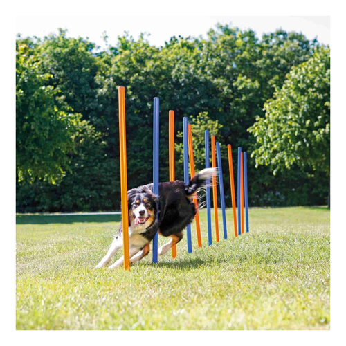 Trixie SŁUPKI zręcznościowe zabawka Treningowa 12szt