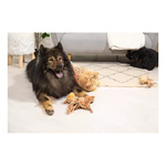 Zolux Zabawka pluszowa dla psa CHIQUITOS leniwiec kocyk 42,2x20,2x31,5 cm