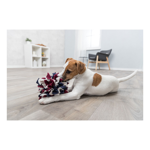 Trixie Dog Activity Sniffing Ball zabawka węchowa dla psa 15cm