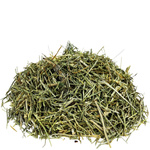 ProHerbs Ziele skrzypu 80g - mocne kości, trawienie i naturalna odporność!