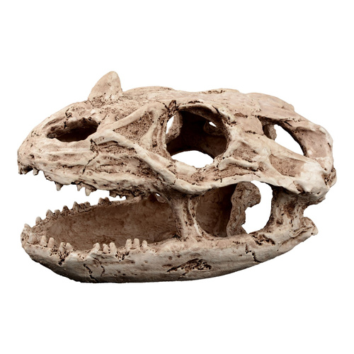 Terra Natura Dekoracja terrarystyczna kryjówka czaszka reptilozaura 19cm