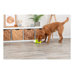 Trixie Świnka kapusta, zabawka, dla psa, jasnozielona, latex, 23 cm, z dźwiękiem