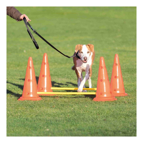 Trixie TOR przeszkód dla psa zestaw 2 części zabawka treningowa