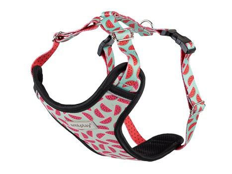 amiplay Szelki regulowane Discovery BeHappy M 25-40 35-50cm Watermelon