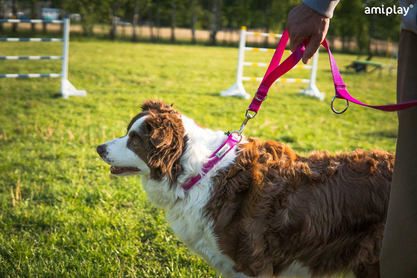 amiplay Obroża SAMBA regulowana L 35-50x2,5cm Szary