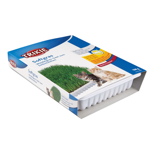 Trixie Kocia TRAWA w Foremce dla KOTA Trawka 100g