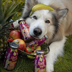 SmoothieDog Obstkorb - owocowe smoothie dla psa (250ml)