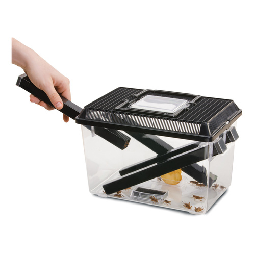 Eao Terra Terrarium do hodowli świerszczy L 21x305x20cm