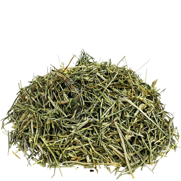 ProHerbs Ziele skrzypu 80g - mocne kości, trawienie i naturalna odporność!