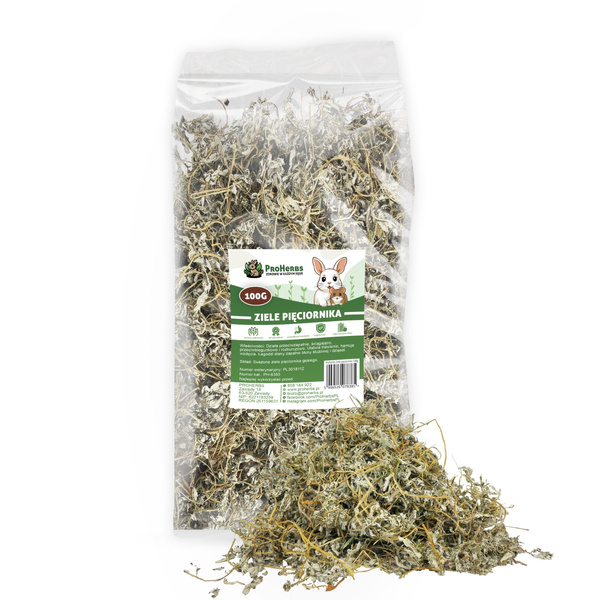 ProHerbs Ziele pięciornika 100g- trawienie, odporność i naturalne wsparcie!